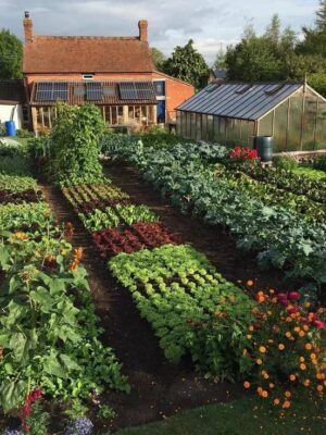 Зарабатывайте с нашей партнерской программой в категории Сад и огород