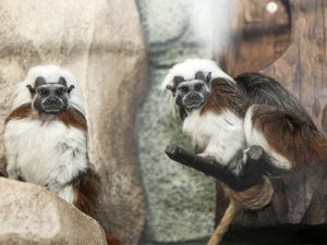Скидка в океанариум - 50 руб от цены билета Скидка в океанариум - 50 руб от цены билета