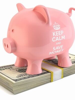 Юридическое финансирование судебных издержек Юридическое финансирование судебных издержек