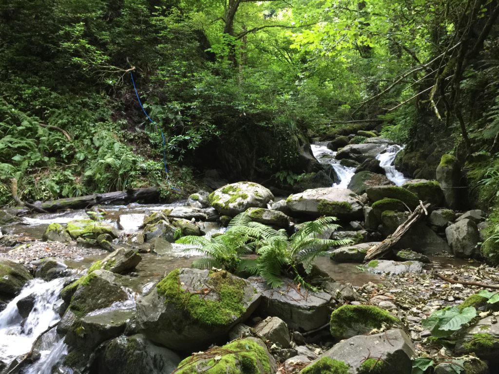 Маршрут Водопад. Экскурсия на квадроциклах в горах Маршрут Водопад. Экскурсия на квадроциклах в горах