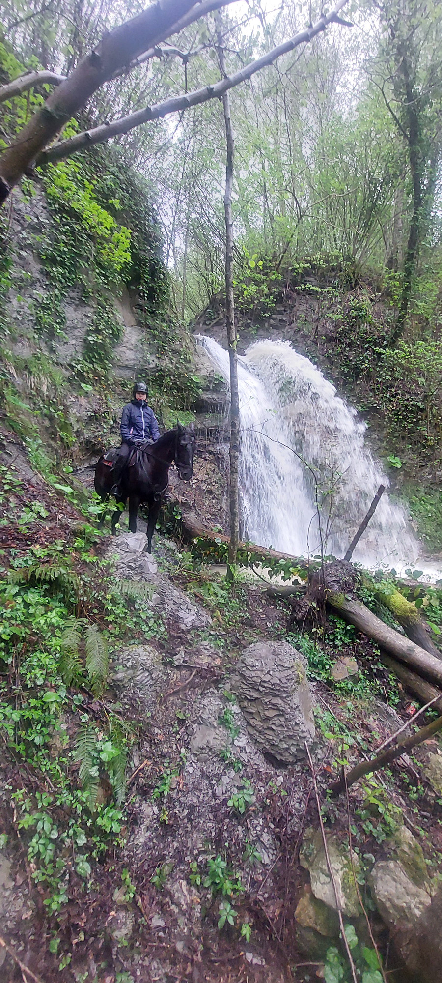 Конная экскурсия на Варваровский водопад Конная экскурсия на Варваровский водопад
