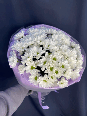 Букет из 9 кустовых хризантем