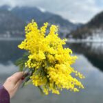 Экскурсия - Золотое кольцо Абхазии, из Адлера