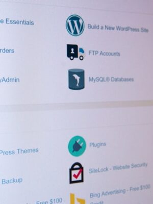 Оптимизация сайта на CMS WordPress Оптимизация сайта на CMS WordPress