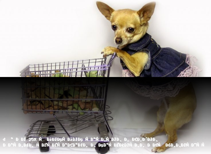 Партнерская программа - Для животных