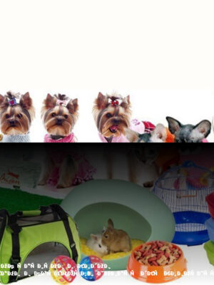 Зарабатывайте с нашей партнерской программой в категории Товары для животных Зарабатывайте с нашей партнерской программой в категории Товары для животных