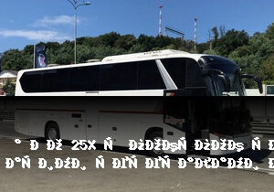 Зарабатывайте с нашей партнерской программой в категории Аренда автобусов Зарабатывайте с нашей партнерской программой в категории Аренда автобусов