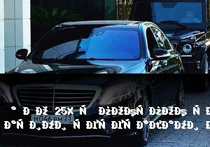 Зарабатывайте с нашей партнерской программой в категории Авто для охраны